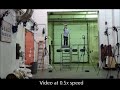perching robot