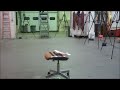 perching robot