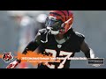 bengals