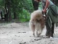 ПЕРВОЕ ЗАНЯТИЕ НА ПЛОЩАДКЕ!<br /><br