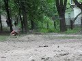 на площадке ШОС "АРЕС"