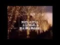 【デュエット】洒落た関係／内田あかり＆徳久広司(cover) 唄：cocofigure1＆iroemon