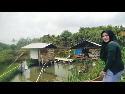 Hidup di kampung memang betah apalagi serba berkecukupan idaman orang kota