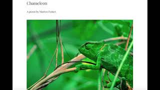 Chameleon - A poem by Martyn Foster