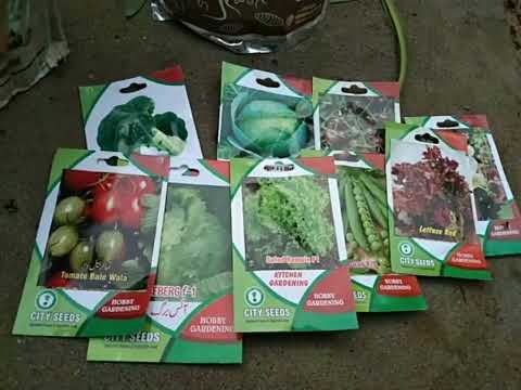 ||winter vegetables seeds #organicfood #gardenflowers # ||winter vegetables seeds #organicfood #gardenflowers #