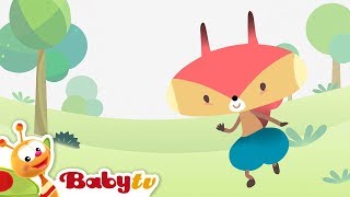 Rocco Babytv Português