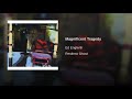 Magnificent Tragedy Video preview