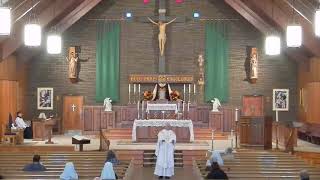 November 18 - Optional Memorial of Dedication of the Basilica of Saints Peter and Paul, Apostles