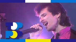 Mink Deville - Maybe Tomorrow (Live) (1985) • Toppop