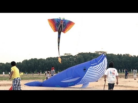 Kite Festival Singapore - NTUC Income Kite Festival Singapore...