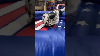 Bounce E Bounce Mechanical Bull Lafayette Louisiana