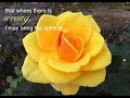 Prayer of St. Francis - Roses ecards - Flowers Greeting Cards Prayer of St. Francis - Roses ecards - Flowers Greeting Cards