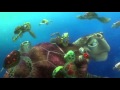 Finding Nemo- Turtle Scene