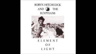 Watch Robyn Hitchcock The Leopard video