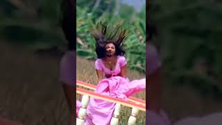 Actress Simran Hot Video