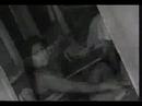 Barricada - Oveja Negra