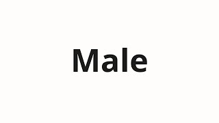 Male Nasıl Telaffuz Edilir