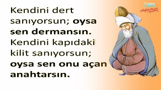 Hz. Mevlana Sözleri İlaç Gibi Edep Sahibi Tokadın Sahibini Aramaz, Sebebini Arar....