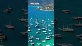 Summer Music Mix 2024 Best Of Vocals Deep House David Guetta, Rema, Alan Walker, Miley Cyrus