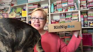 January 2019 Kitnipbox