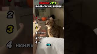 Ranking Cat Understanding English