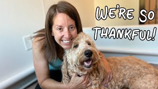 Day In The Life Of Dog Breeder - Nala Received Alot Of Love