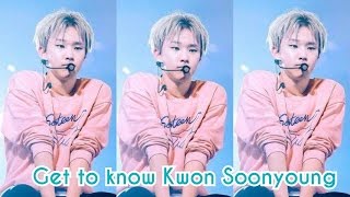 SEVENTEEN - HOSHI FACTS || GET TO KNOW KWON SOONYOUNG