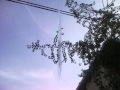 Miracle (Mojza) Of Islam At Sharif Chok PC 2 In Faisalabad, Pakistan