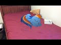 My Little Pony in Real Life: Rainbow Dash Napping