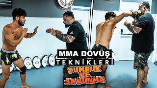 Mma Dövüş Teknikleri Karma Dövüş Sanatları