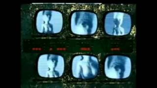 Watch Molotov El Carnal De Las Estrellas video