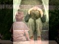 Download dheere dheere Haule Haule...from satyamev jayate MP3 song and Music Video