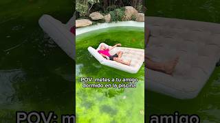 Broma A Mi Amigo Dormido En La Piscina Toxica