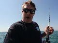 DAIWA SALTIST