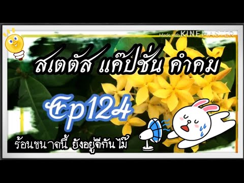 สเตตัส แค๊ปชั่น คำคม124 อากาศร้อนแบบนี้ สบายดีกันรึเปล่า😅