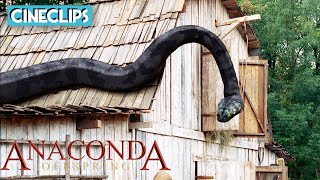 Killer Anaconda! | Anaconda 3: Offspring | CineClips