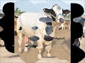 bakra eid qurbani 2011
