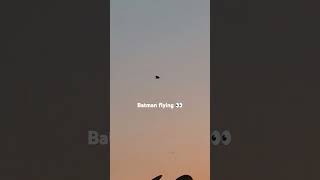 Batman Flying In The Sky Epic Superhero Moment