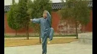 Mo Shou Pai Zi Quan Rubbing Hand Expulsion Fist