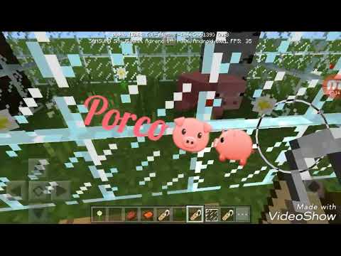 Minecraft-TOUR PELO ZOOLÓGICO🦁🐆🐺 Minecraft-TOUR PELO ZOOLÓGICO🦁🐆🐺