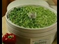 Healthmakers Ezidri Food Dehydrator