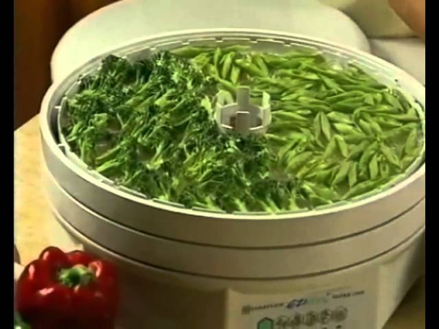 Healthmakers Ezidri Food Dehydrator
