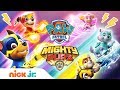 Meet the Mighty Pups Ft. Chase, Rubble, Skye & More!  🐾 PAW Patrol | PAW Patrol | Nick Jr.