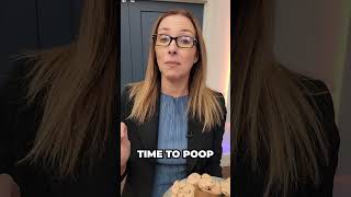 3 Tips To Help You Poop Every Morning
