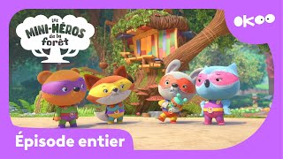 Les Mini-Héros De La Forêt Les Gratouillis Riquiquis Saison 1 Épisode En Entier