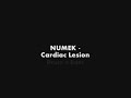 Numek - Cardian Lesion