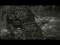 Anaconda Gigante se come persona viva!!! Impresionante!!!