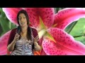 Weekly Astrology Horoscopes for March 2-8, 2014 by Nadiya Shah