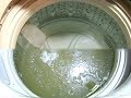 「過炭酸ナトリウム(酸素系漂白剤)」で洗濯槽のカビ取りをしてみました。(短編)(Sodium percarbonate)