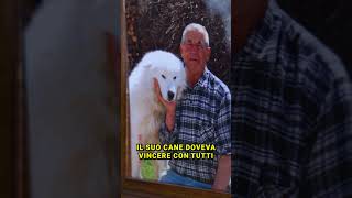 Custodi Ep1A